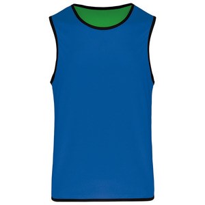 Proact PA044 - Reversible rugby bib Sporty Royal Blue / Green