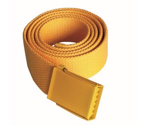 Polyester-Belt-Wordans