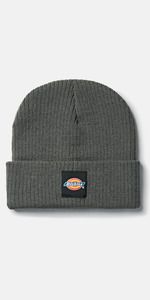 Dickies DK0A4XRY - EVADALE beanie (DT8003)