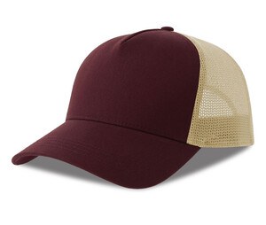 Burgundi/ kivi